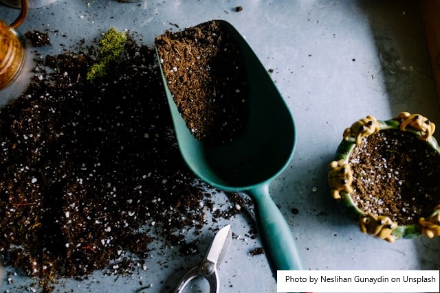 A importância do fósforo como nutriente para o solo