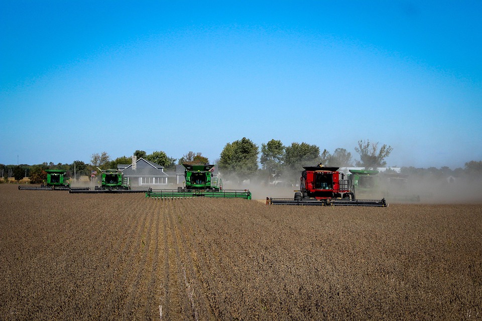 Safra recorde impulsiona cadeia da soja e biodiesel, que cresce quase 12% em 2025