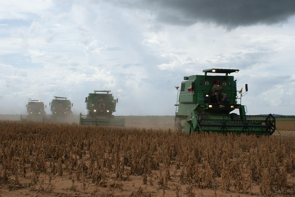 SOJA/CEPEA: Expectativa de maior demanda global aquece mercado