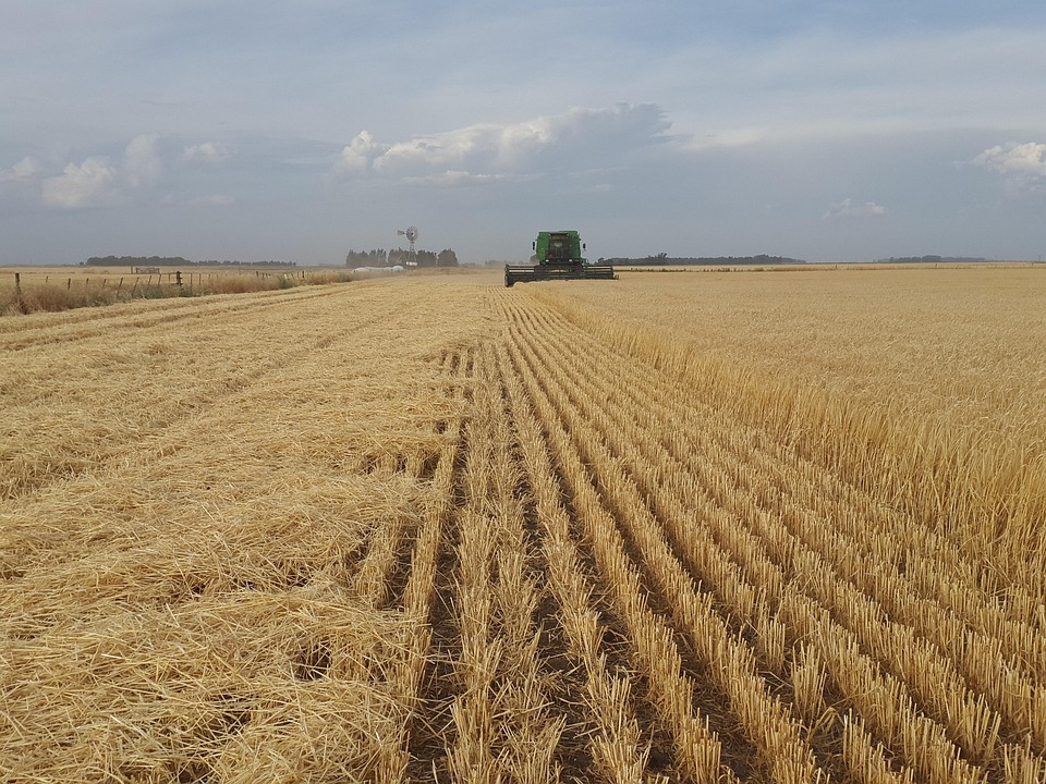 Agro paulista amplia exportações em 5%, mesmo diante dos desafios globais