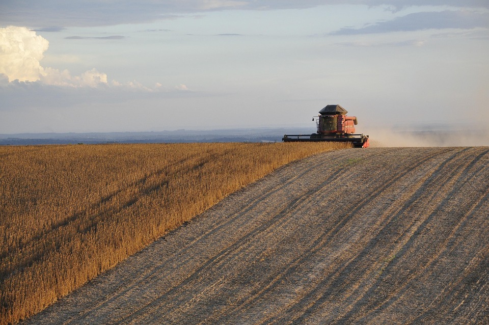 PIB do agronegócio sofreu queda de 2% no primeiro trimestre de 2026