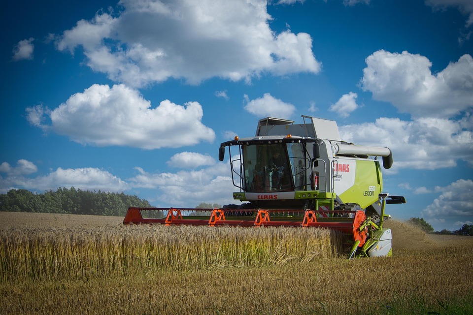 Valor da produção agropecuária é estimado em R$ 1,39 trilhão