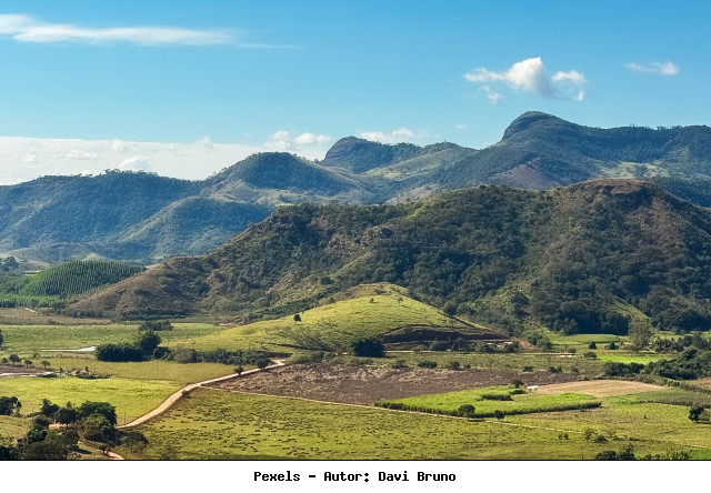 O rebanho leiteiro do Piauí foi o menor entre os estados do Nordeste, em 2024