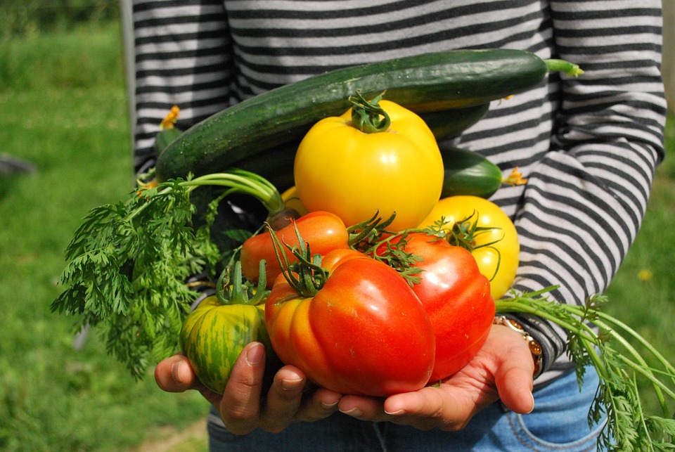 Legumes caem 9,8% em julho, mas leite UHT dispara 4,1%