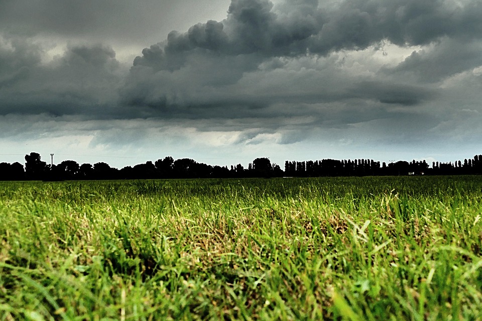 Sob efeito do El Niño, campo enfrenta risco crescente de extremos climáticos