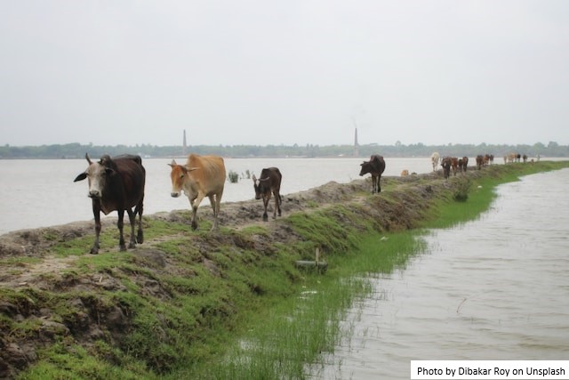 Afetados pelo El Niño terão crédito extraordinário de R$ 64 milhões