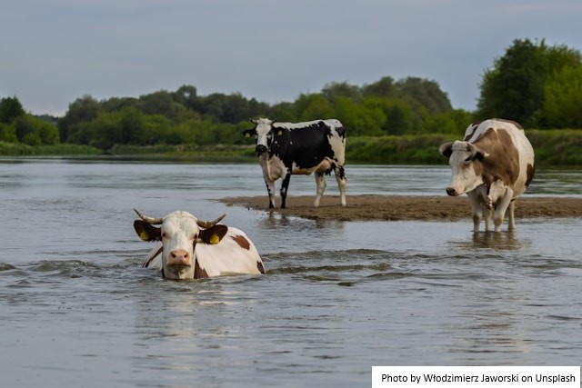 Previsão de que Super El Niño redistribua chuvas e altere a produtividade agrícola do País
