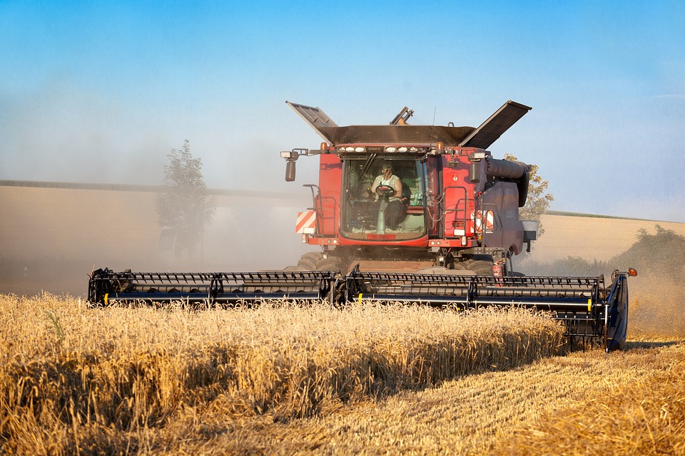 SOJA/CEPEA: Expectativa de safra volumosa pressiona cotações para 2027