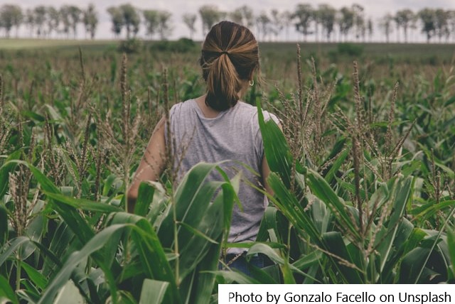 Inadimplência do crédito rural caiu para 8,7% em setembro