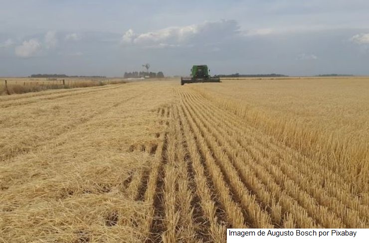 Parceria com startup do agro para acelerar comercialização
