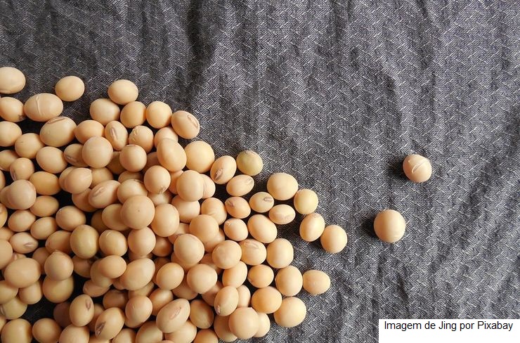 SOJA/CEPEA: Altas externa e cambial impulsionam preços