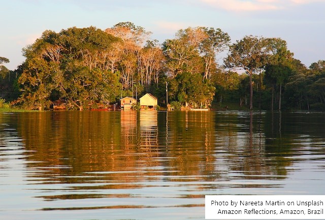 Amazônia Legal terá recursos para projetos de bioeconomia