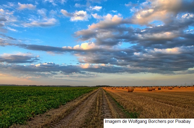 CNA apresenta propostas preliminares do agro para o País