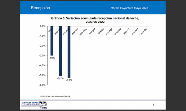 Chile– Captação de leite cai 5,3% no primeiro trimestre de 2023