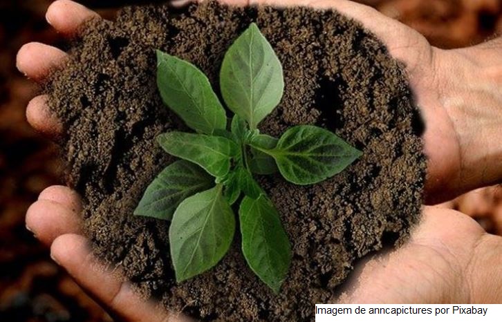 Dia do Agronegócio na COP26 debate sustentabilidade na agropecuária, energia alternativa e rastreabilidade