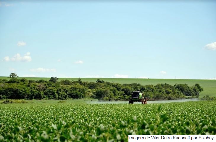 Rabobank projeta recorde de 40 milhões de hectares para soja no Brasil