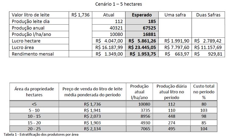 Estudo mostra viabilidade econômica da produção leiteira