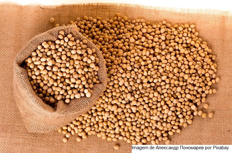 Estudo mostra como produzir mais soja sem maior desmatamento