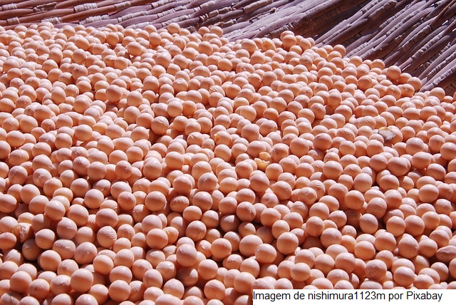 USDA traz 3º anúncio de vendas de soja para China e demais destinos nesta 4ª com oferta disponível menor no Brasil