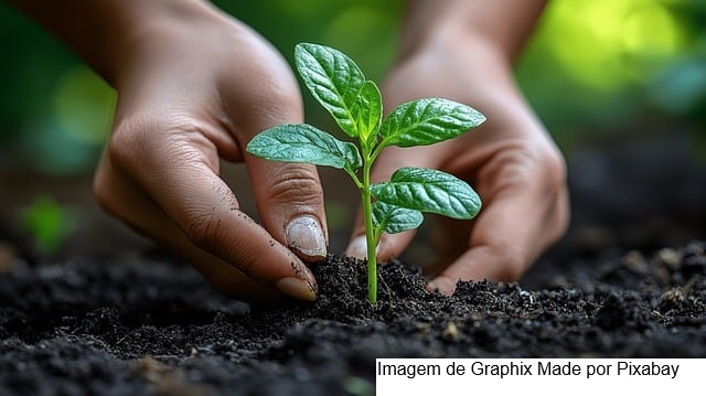 Em Berlim, o Mapa reforça compromisso com o desenvolvimento de uma bioeconomia sustentável e transformadora