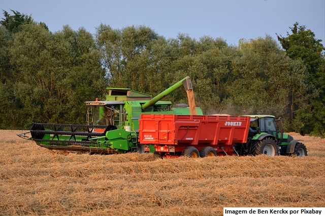CNA e Cepea levantam custos de produção de grãos em Goiás e no Paraná