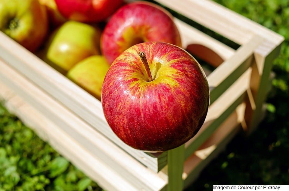 Campo Futuro levanta custos de produção de nove atividades produtivas em cinco estados