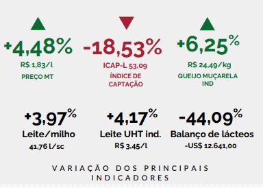 Preço do leite pago ao produtor teve alta de 4,48% em MT