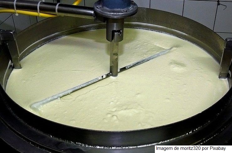 Argentina – A produção industrial de produtos lácteos caiu 3,6% em dezembro de 2021