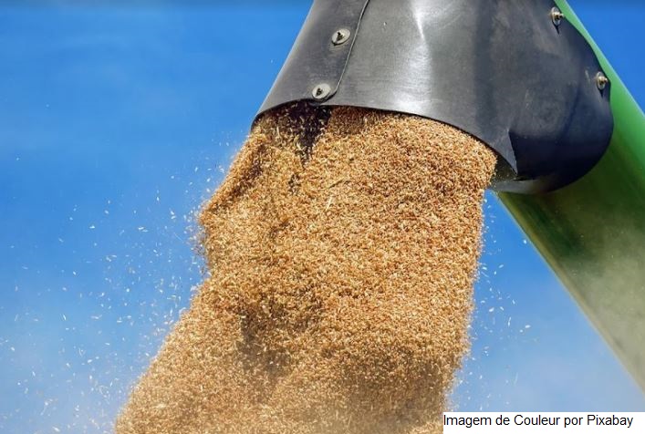 Produção de grãos pode chegar a 291,1 milhões de toneladas na safra 2021/22