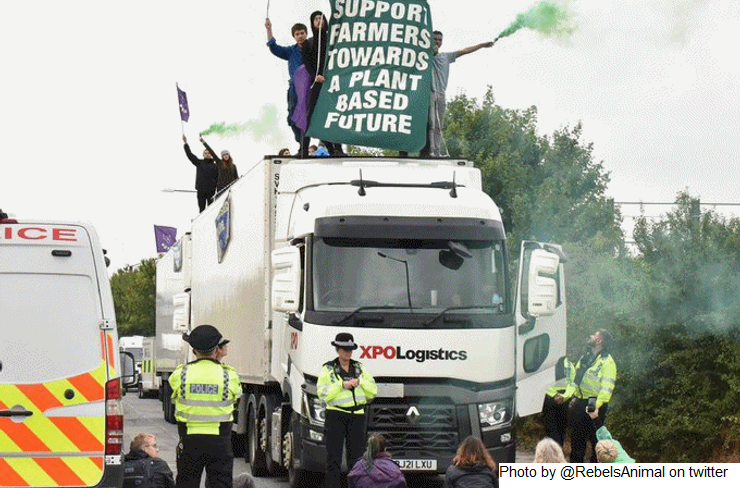 RU – Escassez de leite será ‘inevitável’ se os protestos de grupos veganos continuarem bloqueando centros de distribuição de leite