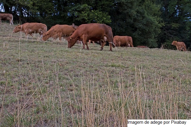 Seapdr apresenta demandas ao Ministério da Agricultura para apoio aos atingidos pela estiagem