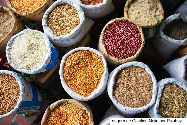 Cenários para a agropecuária no Brasil e no mundo
