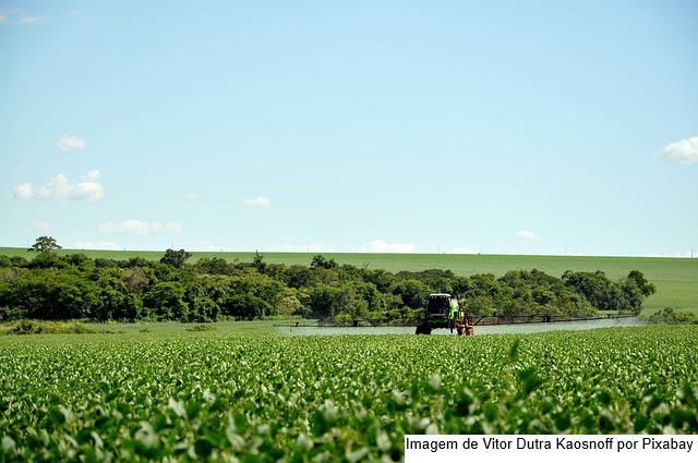 Goiás deve ter recorde no valor bruto da produção agropecuária em 2025