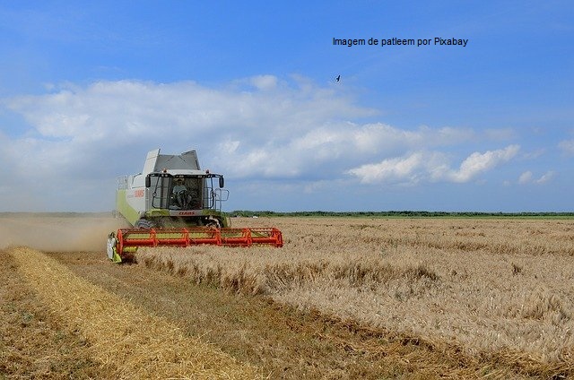 PIB do setor agropecuário registrou alta de 5,7% no primeiro trimestre