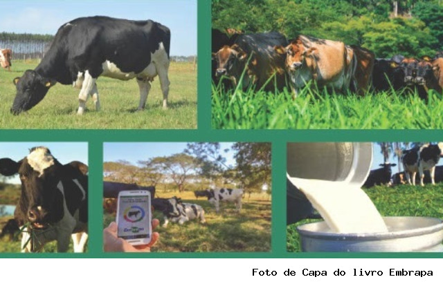 Livro sobre Balde Cheio em Rede é lançado no evento de 50 anos da Embrapa Pecuária Sudeste