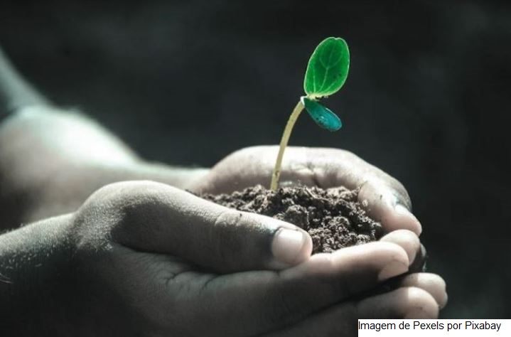 Pacto Global da ONU lança o Entre Solos, iniciativa para fomentar o diálogo sobre o agro sustentável
