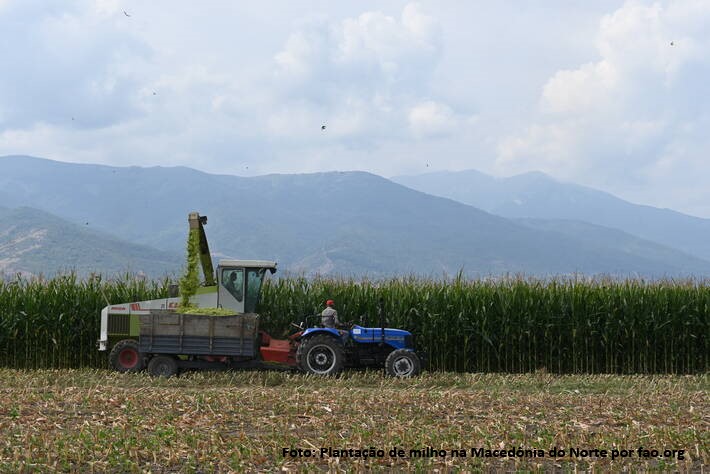O Índice FAO dos Alimentos continuaram subindo em maio