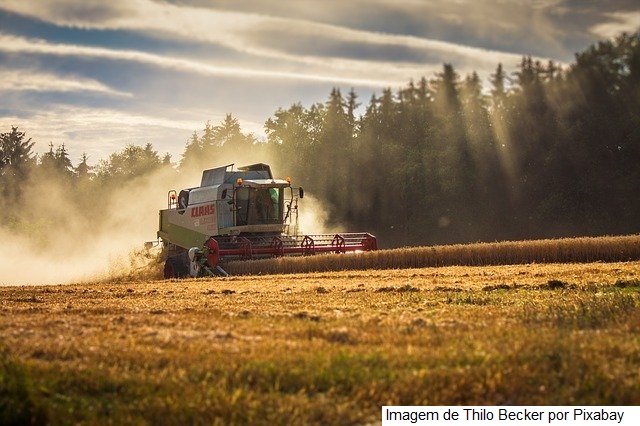 Ipea estima que o PIB Agropecuário crescerá 1,7% em 2021 e 3,3% em 2022