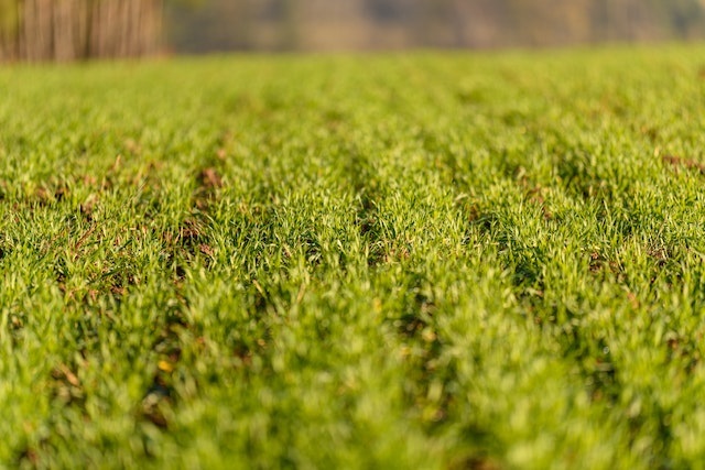 Crédito do BNDES para agricultura familiar aumenta 277% no Norte e Nordeste