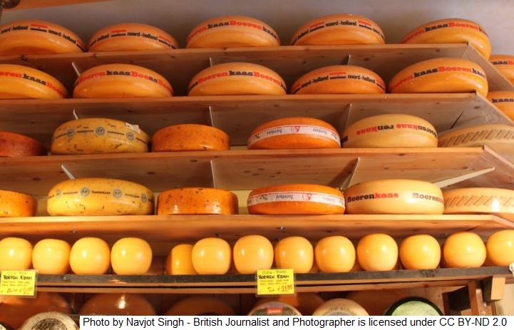 Holandeses em busca de queijo uruguaio