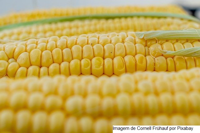 TRIGO/CEPEA: Mesmo com queda nos EUA, preço sobe no Brasil