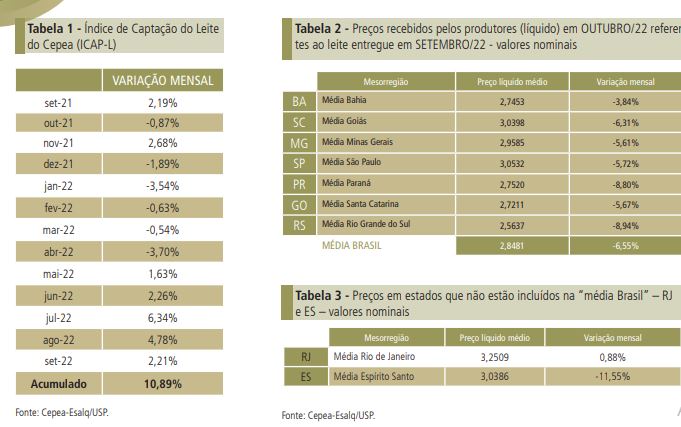 Leite ao produtor segue em desvalorização; ano deve se encerrar com preços em queda