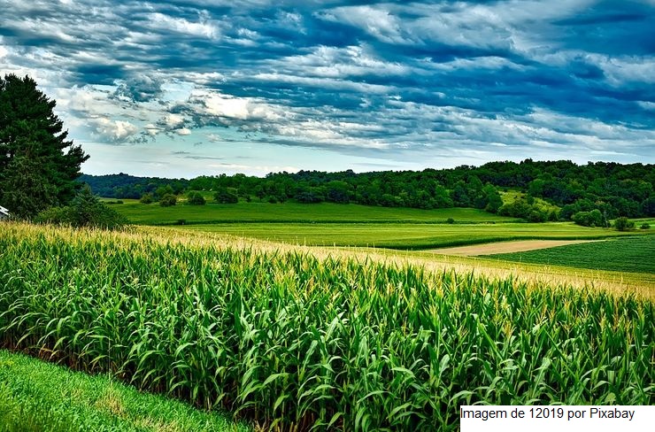 USDA estima safra mundial de soja em 400 milhões de toneladas