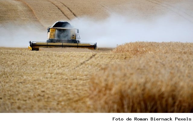 Estudo aponta que agronegócio é responsável por cerca de 40% do PIB estadual
