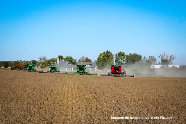 Participação do agronegócio nas exportações goianas corresponde a 80,6% do total do mês de maio