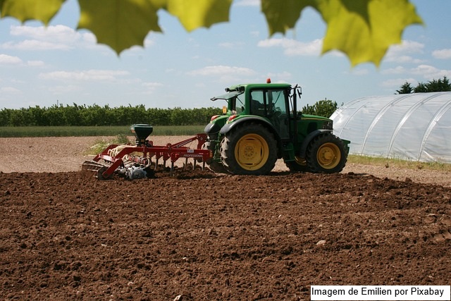 Projeção para 2025 aponta MS no topo do crescimento agropecuário nacional