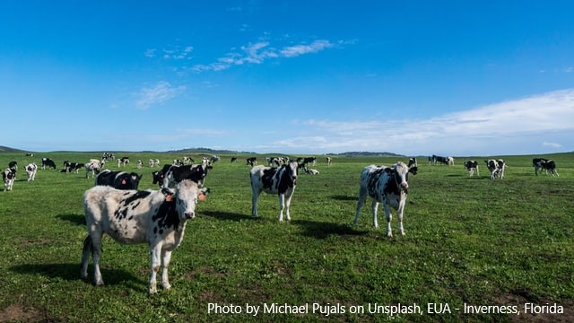 EUA – As exportações podem sustentar os preços do aumento da produção