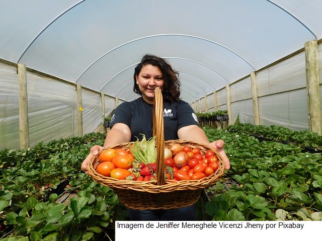 Embrapa lança ambiente digital para auxiliar na produção orgânica e agroecológica
