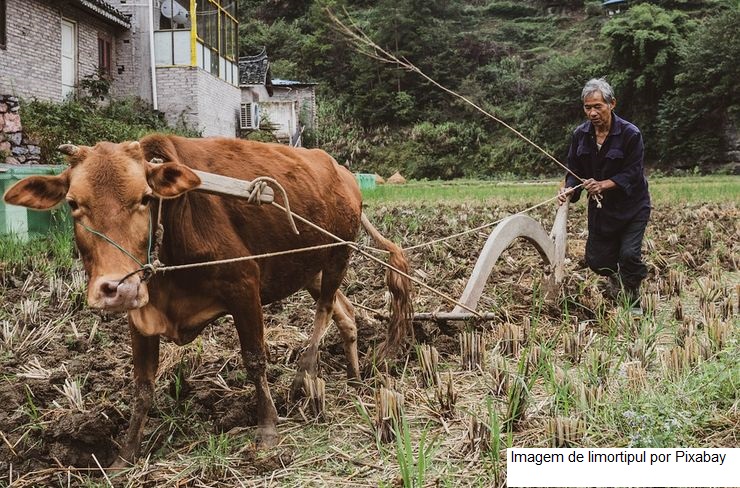Produtores rurais terão mais prazo para emitir o Cadastro da Agricultura Familiar (CAF)
