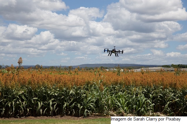 Câmaras Setoriais de Milho, Sorgo e Soja se reúnem em Minas Gerais